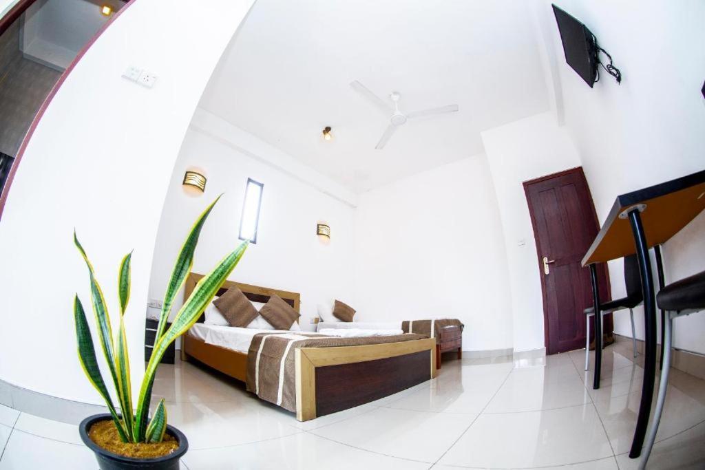 נגומבו Hotel Blue Bird מראה חיצוני תמונה